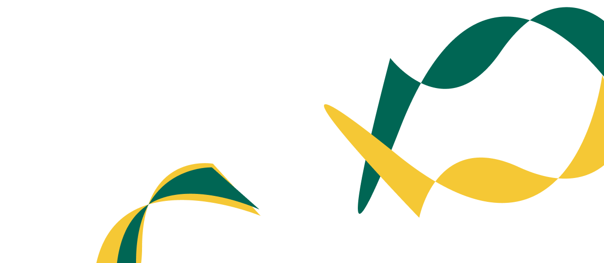 Expert Solutions for Corporate  Financial Success. - 雷速体育APP