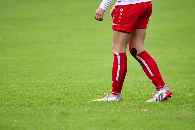 光鲜亮丽 光鲜亮丽