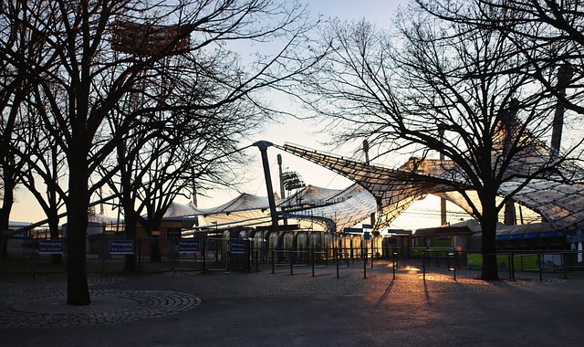 成熟穩重的 成熟穩重的