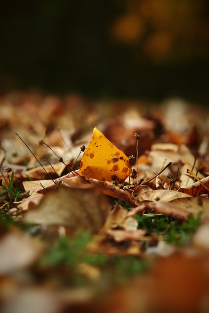 成功地稳定 成功地稳定