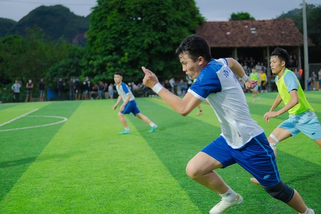 也因为他迅 也因为他迅