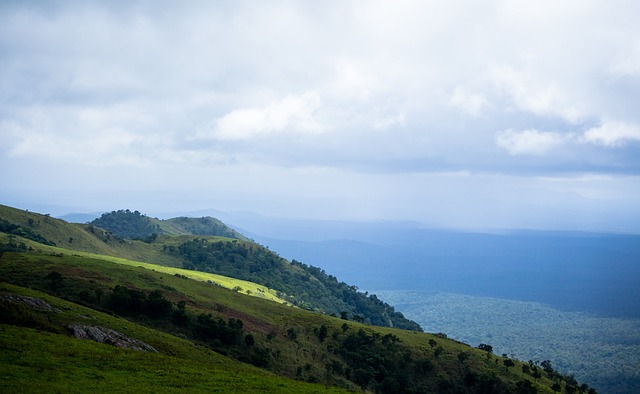 除了乐娜的 除了乐娜的