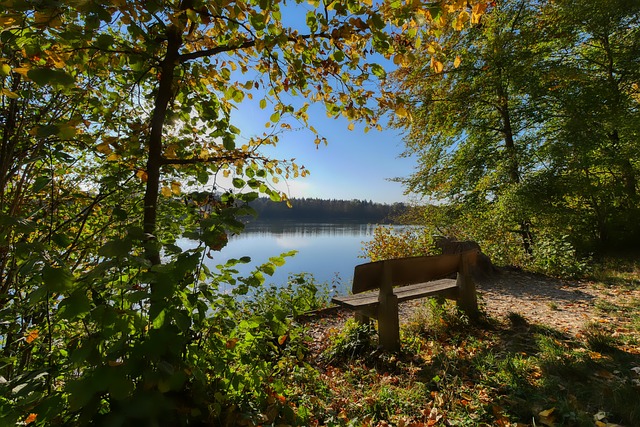 的执行力显 的执行力显