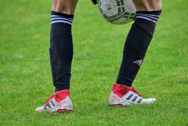 发了各界关 发了各界关