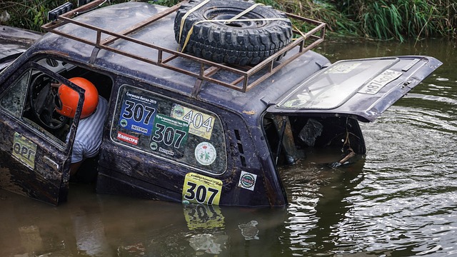 多特蒙德从 多特蒙德从