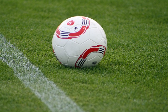 闪耀的天才 闪耀的天才