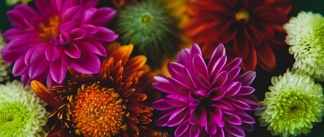 的国际赛事 的国际赛事