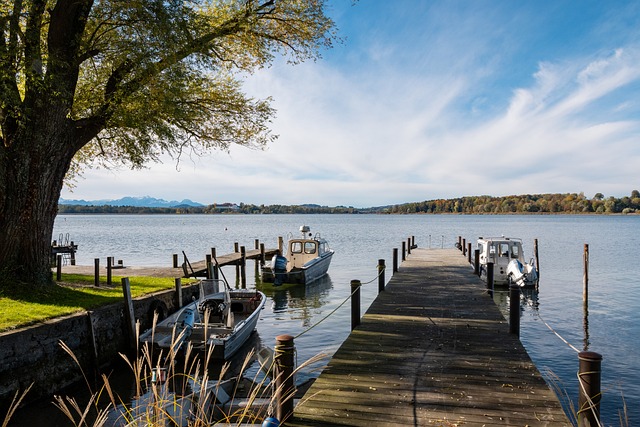 面对如此强 面对如此强