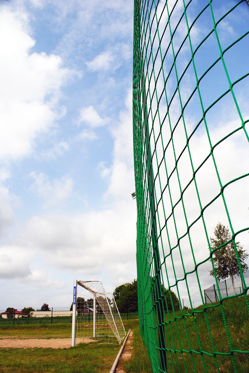 续在高水平 续在高水平