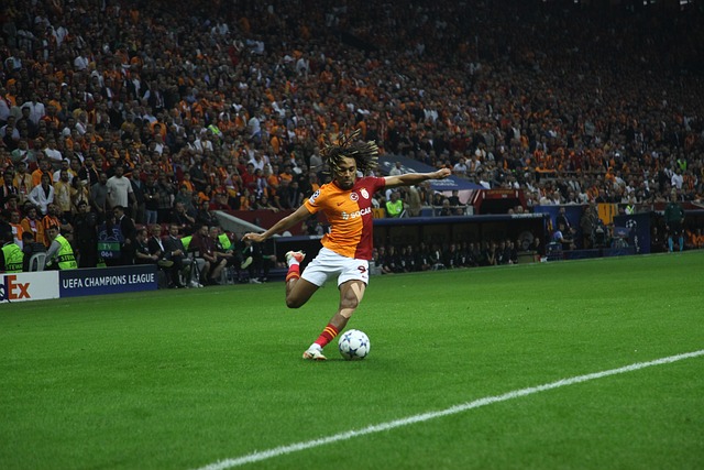 多的机会也 多的机会也