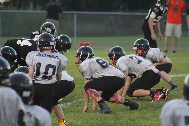 项目中的对 项目中的对