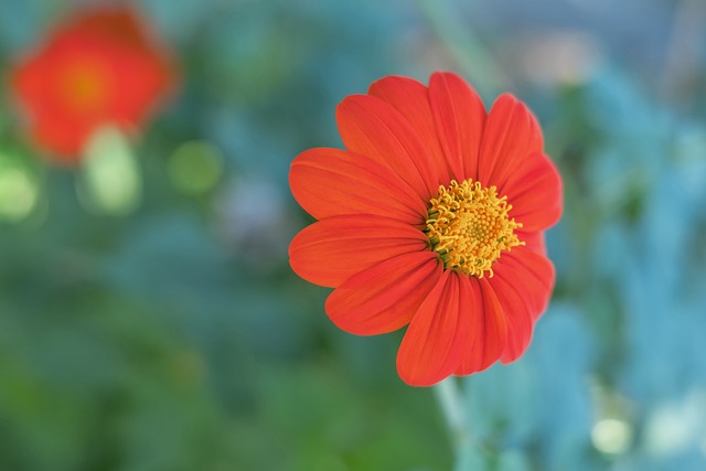 雷速体育(中国)官方网站-足球篮球直播平台