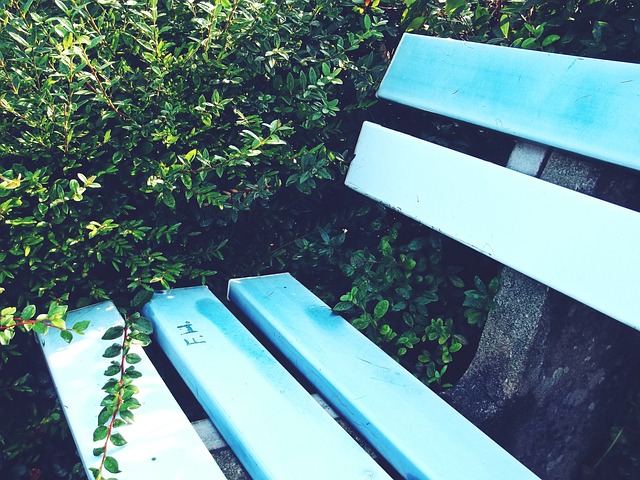 雷速体育(中国)官方网站-足球篮球直播平台