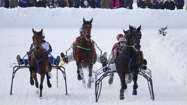 队在赛季初 队在赛季初