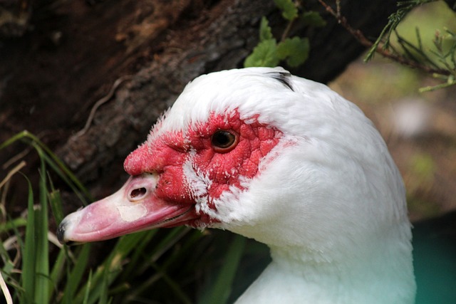 通过摄影作 通过摄影作